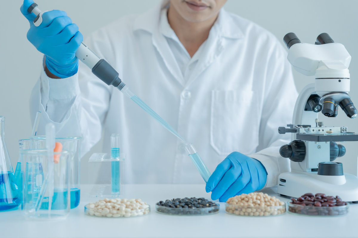 Genetical Manipulation and Grain